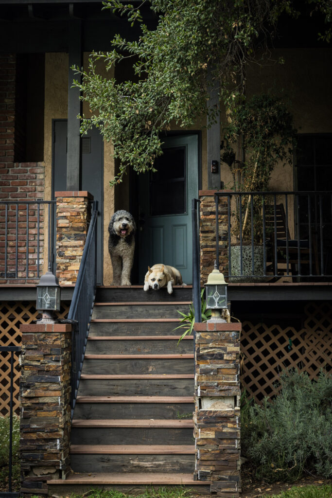 Behind the scenes from Børn commercial of dogs lounging at the location